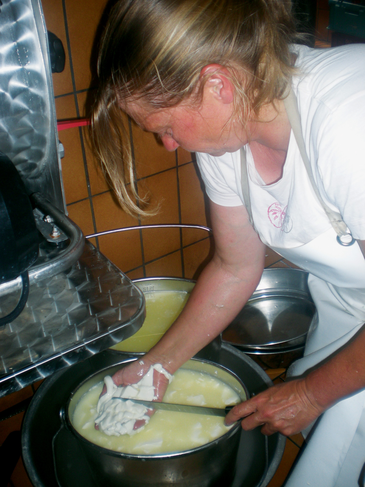 Landwirtschaft_Kaesen